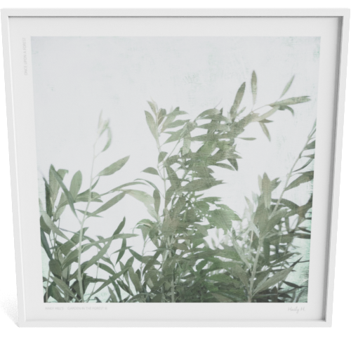 The Wind no.01